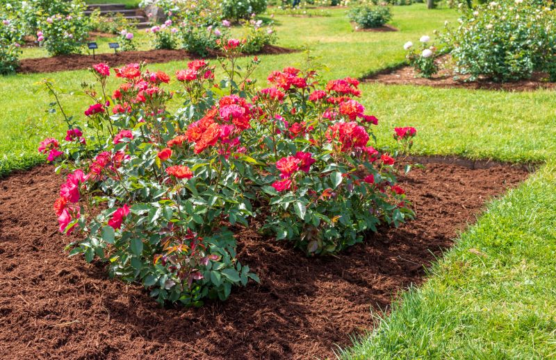 Red Mulch Installation in Ventura County, CA