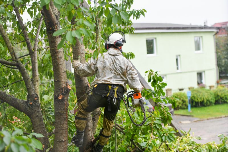 Shrub Care Service in Reno, NV