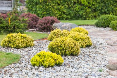 Great For Landscaping!